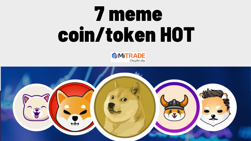 Meme coin là gì có tiềm năng? 7 meme coin/token HOT 2022
